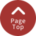 pagetop